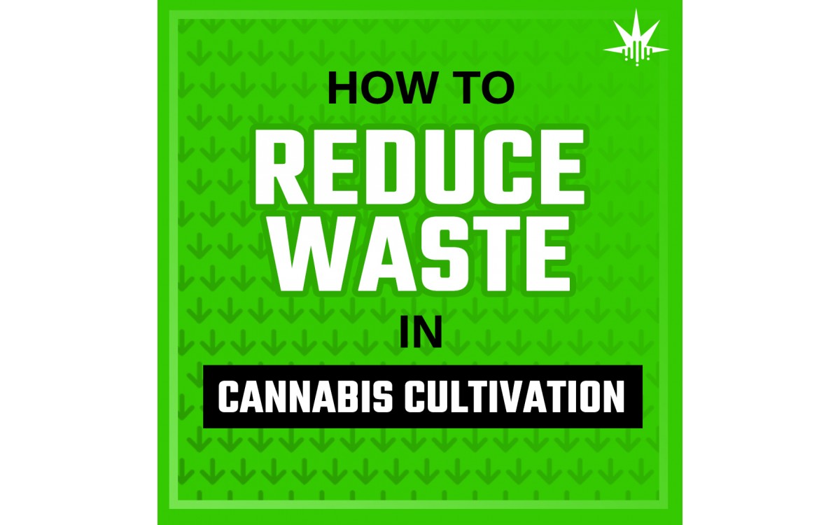 Delta9 graphic: How to Reduce Waste in Cannabis Cultivation